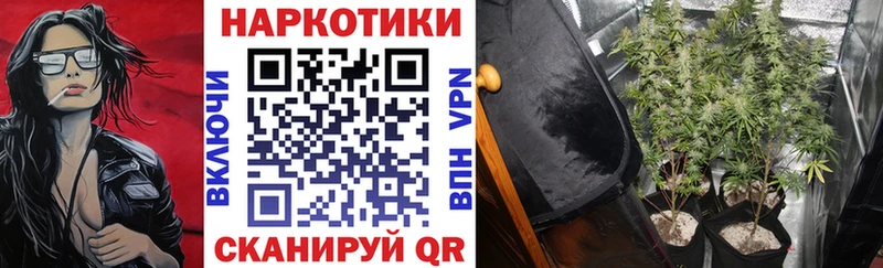 Магазины продажи наркотиков Кола APVP  KRAKEN зеркало  Мефедрон  ГАШ  Каннабис 